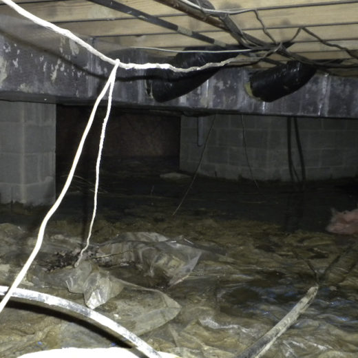 Crawl Space Encapsulation Pros Near Me in Dallas, TX